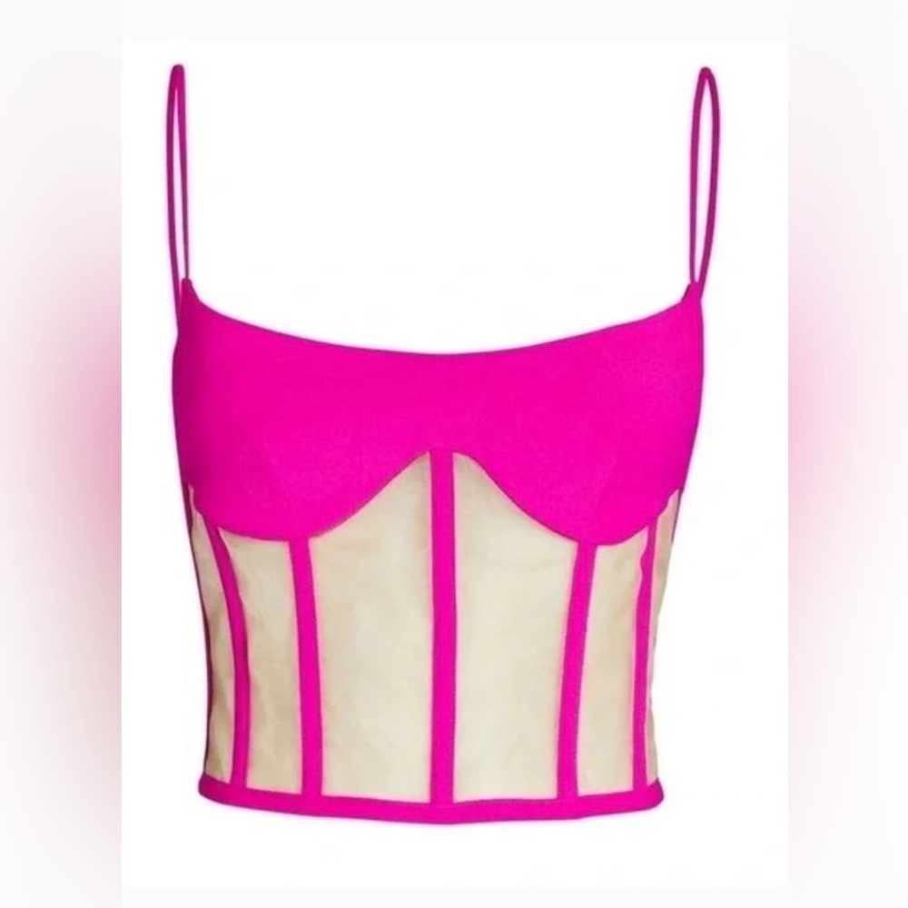 NWT Hot Pink Sheer Panel Rozie Corsets Crop Top size 42 #C-30
